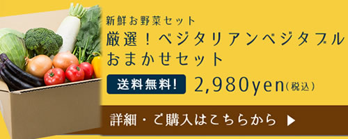 �x�W�^���A���x�W�^�u��