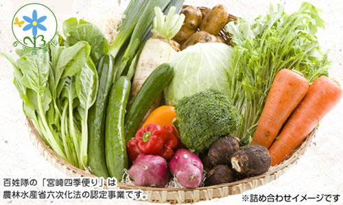 �S�����ʔ̎s��