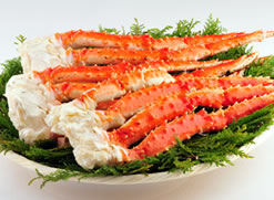 ���ɍՂ�b������������