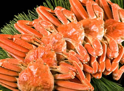 ���ɍՂ�b������������