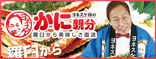 ���P������������J�j�𒼑�