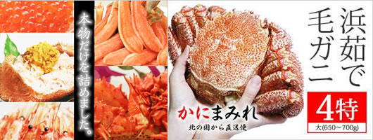 �S�i��Ȃ��[���i���I�J�j�ʔ̂̂܂ɂ܂݂�