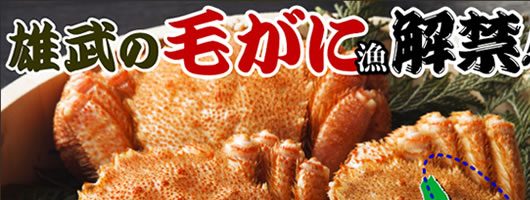 �J�j�ʔ́E�J�j�̂����񂹐��X�I�J�j�̕l�C��