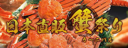 �V���ETV�E���W�I�Ől�C�̓��{���̂̃J�j������