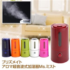 �v���Y���C�g�A���}�����g�������� Ms.�~�X�g