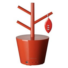 Rocca�i���b�J�j�����g��������