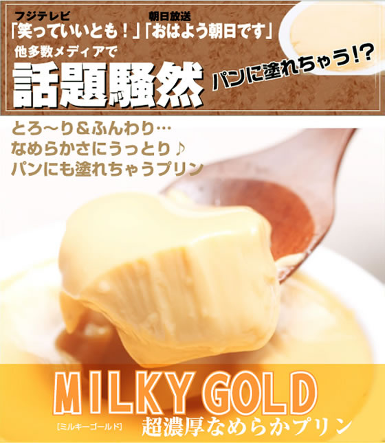 �k�C���~���L�[�S�[���h�v����