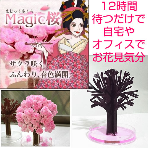 �}�W�b�N������bMagic���ʔ�