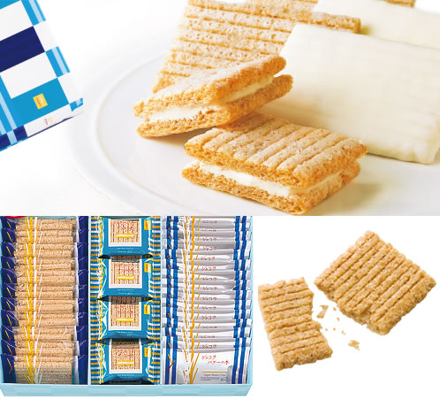 �V���K�[�o�^�[�̖� ��̂Ԃǂ��ʔ�