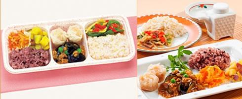 ウーディッシュ「麻婆ナスとえびシューマイ」