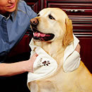 ウォーターレス・ペットタオル