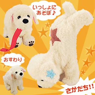 さかだちラッキー｜日本直販