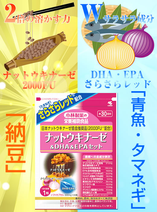 さかなっとう 小林製薬 ナットウキナーゼ Dha Epaセットお試し