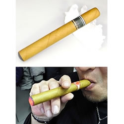 �d�q�t�� �uTaEco�v�i�^�G�R�j