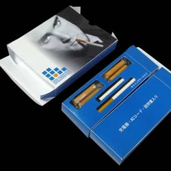 �d�q���΂� �u���C�Y�X���[�J�[�v