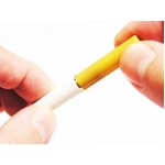 �d�q�^�o�RDT�iDenshi Tabaco�j