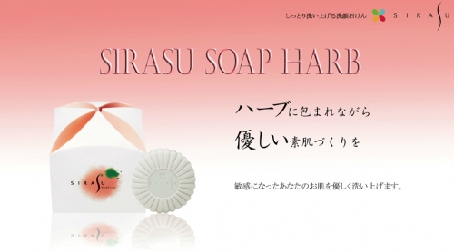 �l�C�̍����I���W�i���A�O���[���A�n�[�u�̂R��Z�b�g