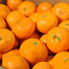 �c�ӎY���n�݂���5kg