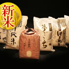 ������̕i��ʁu���Ă̔Еz��5�L���v�����Ȃ܂Ƃߕ���