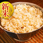 JAS�L�@�āu�R�V�q�J���i���āj�v����ւT�L���i�����p���^�j