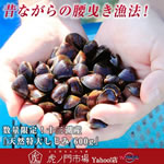 ���ʌ���I�\�O�ΎY�u�V�R���債���� 600g�v