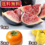 �󏭂ȁu�����������v�Ɓu�{�̃t���[�c�v3��R�[�X