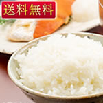 �A�q���͔|�ĂƓ��ʍ͔|�ĐH�ה�ג���ցi�����p���j