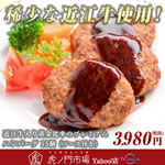 �ߍ]�����艩���䗦�̃v���~�A���n���o�[�O15�i�\�[�X�t���j