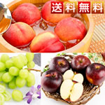 ����̒��������I�I�{�̉ʎ�3�񂨓͂��R�[�X