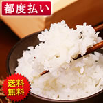 ������́u�R�V�q�J���v�����5�L���i�����p���^�j