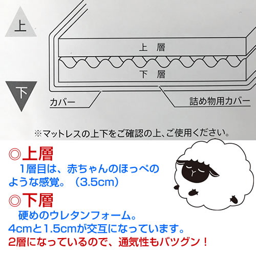 �g�D���[�X���[�p�[ �R���t�H�[�g�@�ᔽ���ӂƂ�