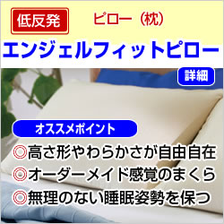 トゥルースリーパー エンジェルフィットピロー詳細へ