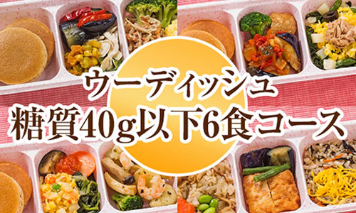 ウーディッシュ 糖質40g以下6食コース