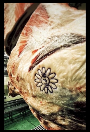 森山ナポリ「コラボピザ」