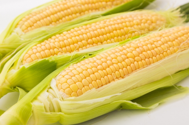 金沢発祥ピザ工房森山ナポリ「月替りセット」