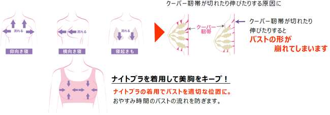 グンゼTuché（トゥシェ）「ナイトブラ」