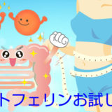 ラクトフェリンサプリお試し特集