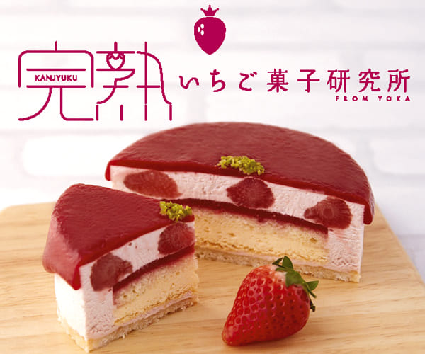 完熟いちご菓子研究所お取り寄せ