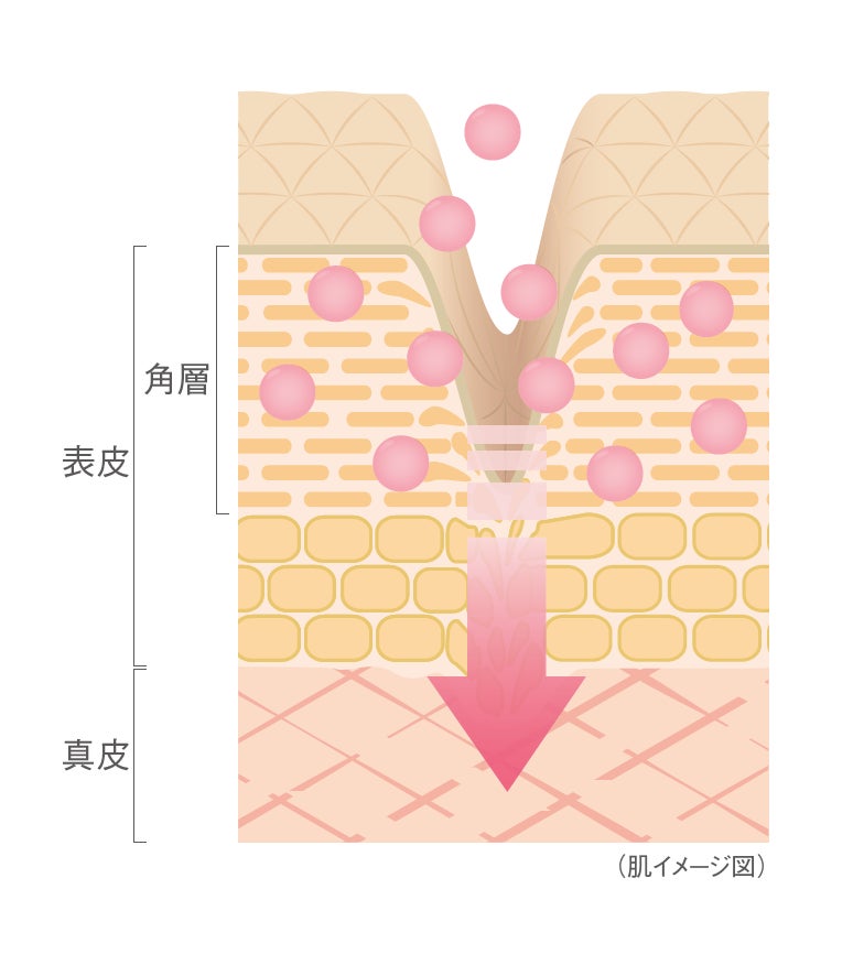 『NOV（ノブ）』の高保湿エイジングケア「ハリ美容液」