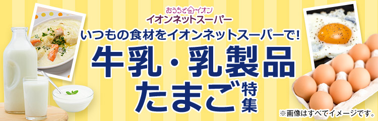 イオンネットスーパー