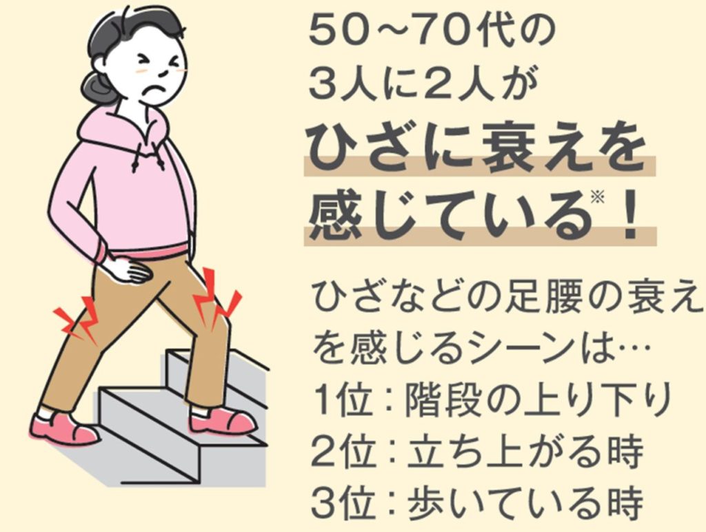 【DHC】機能性表示食品「極(ごく)らくらくEX」