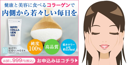 ニッピコラーゲン100お試し