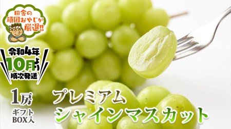 茨城県つくばみらい市のふるさと納税プレミアムシャインマスカット（寄附金額34,000円）