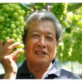 高知県のふるさと納税シャインマスカット