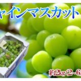 香川県東かがわ市のふるさと納税　瀬戸内のシャインマスカット（寄附金額21,000円）