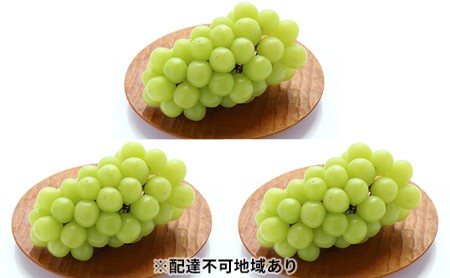 岡山県高梁市のふるさと納税シャインマスカット（寄附金額60,000円）
