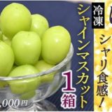 山形県のふるさと納税シャインマスカット