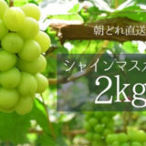 山梨県のふるさと納税シャインマスカット