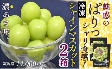山形県最上町のふるさと納税　瞬間冷凍シャインマスカット（寄附金額14,000円）