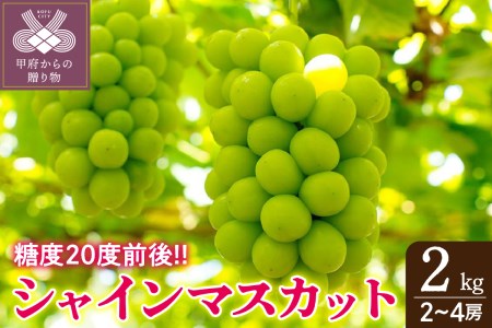 山梨県甲府市のふるさと納税シャインマスカット（寄附金額20,000円）